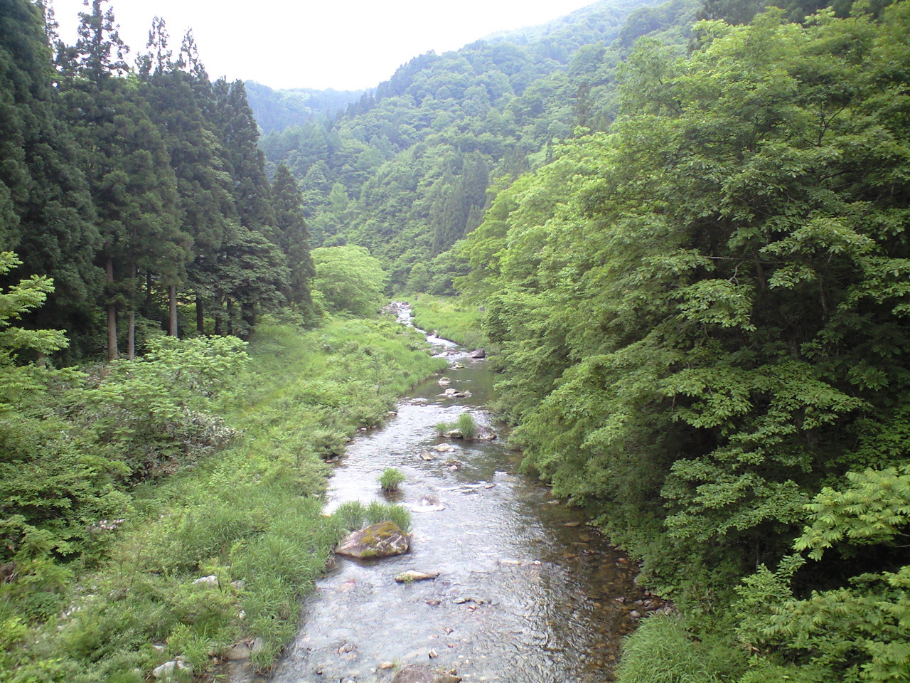 a0093677_22414070.jpg