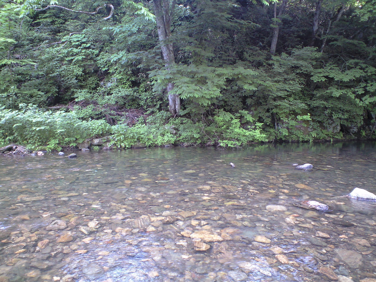 a0093677_2272085.jpg