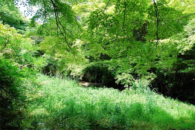 f0108478_17331014.jpg