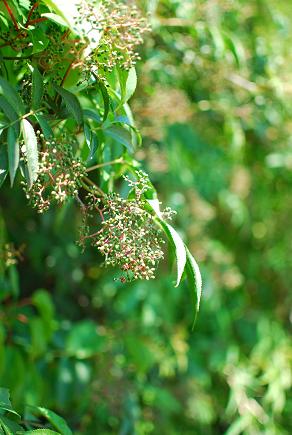 a0053681_22301461.jpg