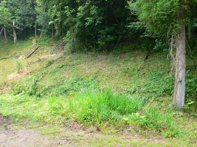 b0042882_026429.jpg