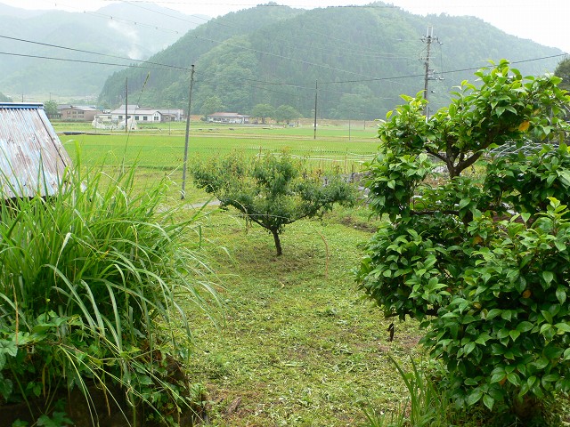 b0042882_03468.jpg