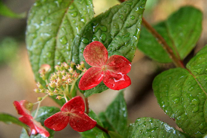 b0171185_2292668.jpg