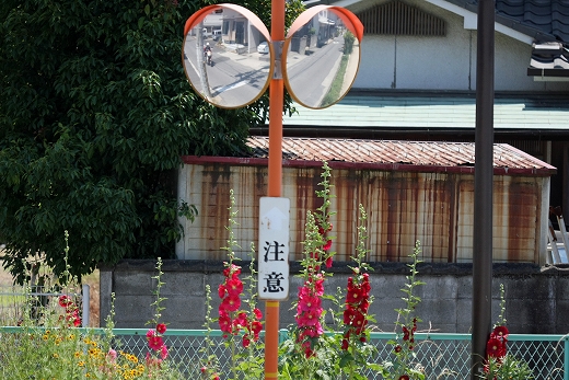 e0190885_6111845.jpg