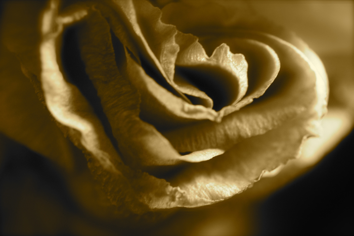 a0140789_14213844.jpg