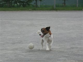 e0121589_20261446.jpg