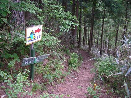 f0202990_22524753.jpg