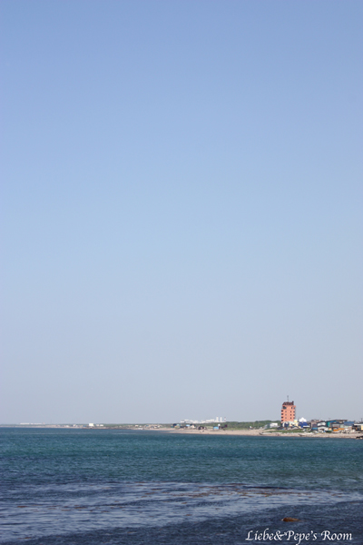 f0001895_18322386.jpg