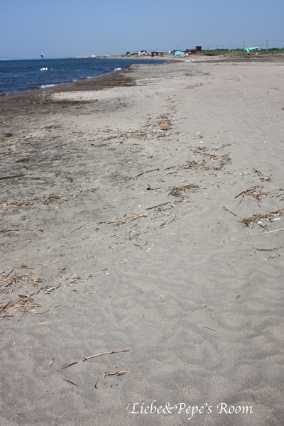 f0001895_18404375.jpg