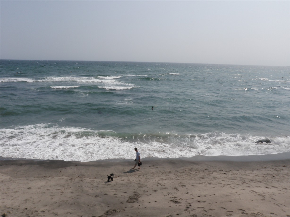 d0122797_22373346.jpg