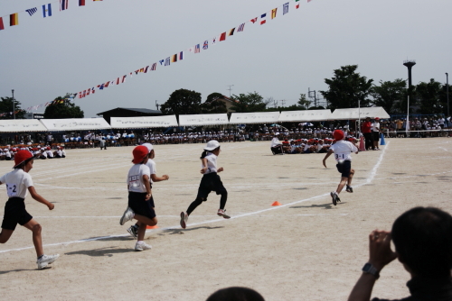 c0129498_034375.jpg