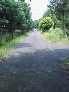a0065800_134126.jpg
