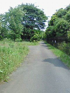 a0065800_134359.jpg