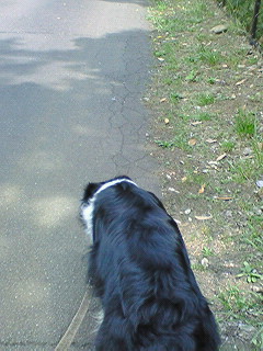 a0065800_1353897.jpg