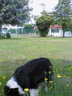 a0065800_136934.jpg