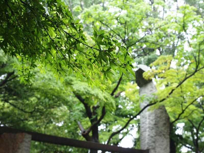 f0224100_5481762.jpg