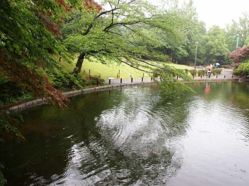 f0224100_5584146.jpg