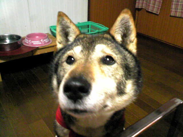 f0079202_22295660.jpg