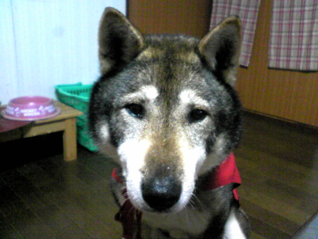 f0079202_22295689.jpg