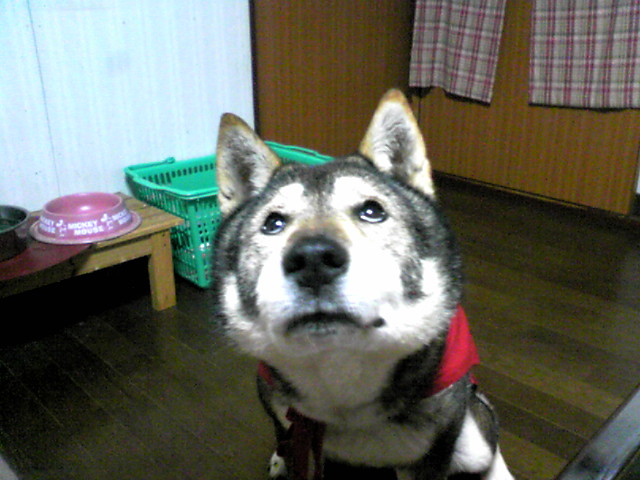 f0079202_22295694.jpg