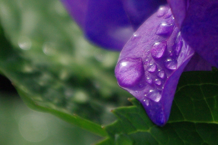 d0171803_8154998.jpg