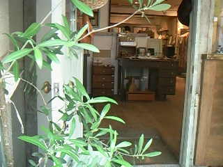 f0103304_13174117.jpg