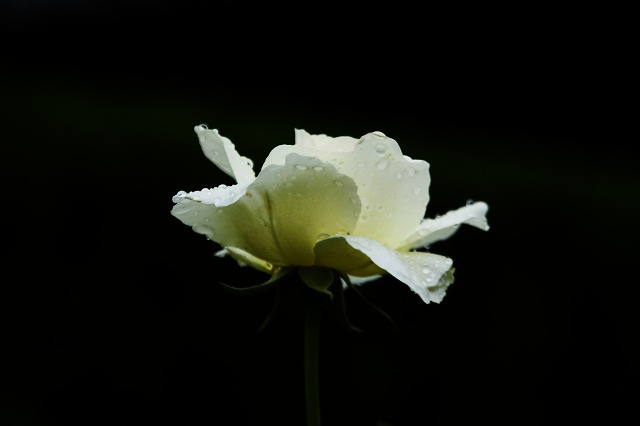 f0231904_2126437.jpg