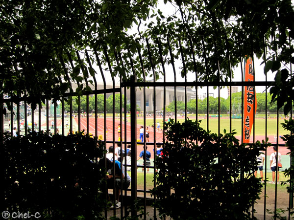 a0154706_18142436.jpg