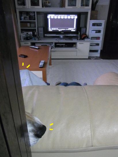 c0205806_19143446.jpg