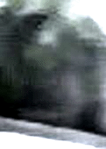 e0103408_14233869.gif