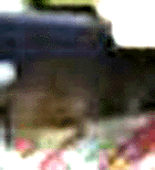 e0103408_1425243.gif