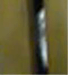 e0103408_14252550.gif