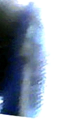 e0103408_14384955.gif