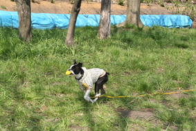 f0186509_18332653.jpg