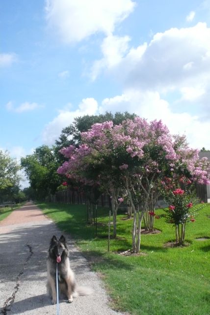 f0227709_5422984.jpg