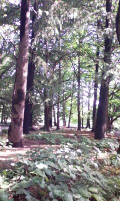 e0009714_8404935.jpg