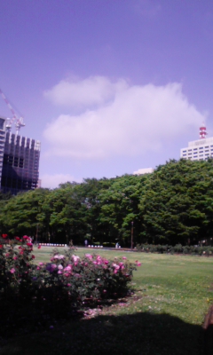 e0009714_840498.jpg