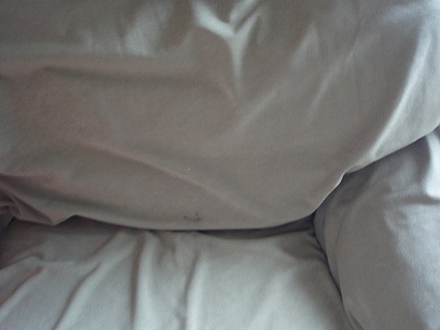 c0145016_15531119.jpg