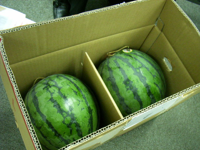 e0177824_21445662.jpg