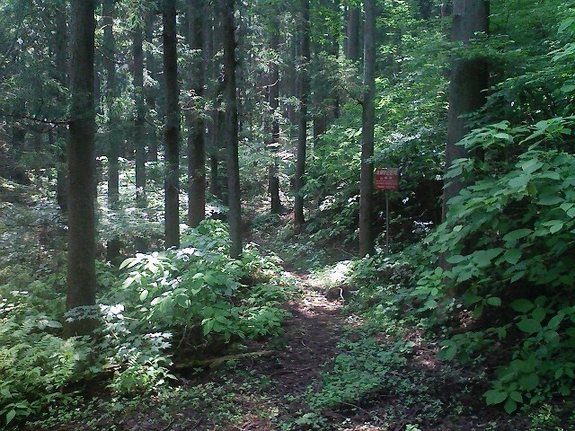 b0184725_1320227.jpg