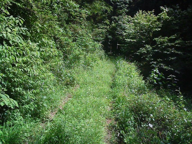 b0184725_1321541.jpg