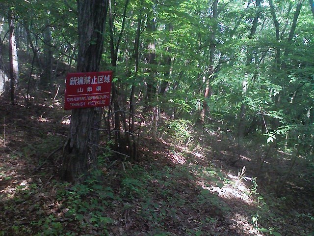 b0184725_1374828.jpg