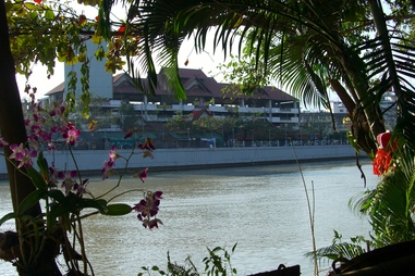 d0159325_19391826.jpg