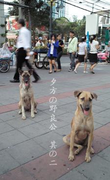 d0042827_33521100.jpg