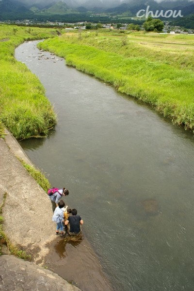 f0146531_005933.jpg