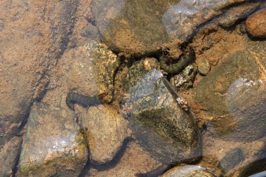 e0150433_1654269.jpg