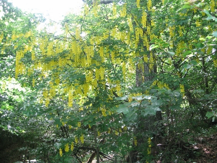f0234936_031435.jpg