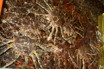 e0127743_2235595.jpg