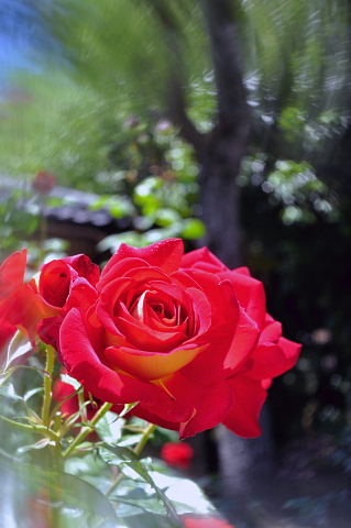 f0214648_23607.jpg