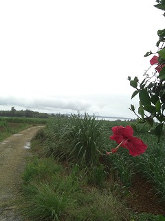 f0009451_8163057.jpg